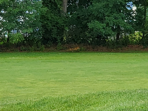 Golf Course «Flanders Valley Golf Course», reviews and photos, 81 Pleasant Hill Rd, Flanders, NJ 07836, USA