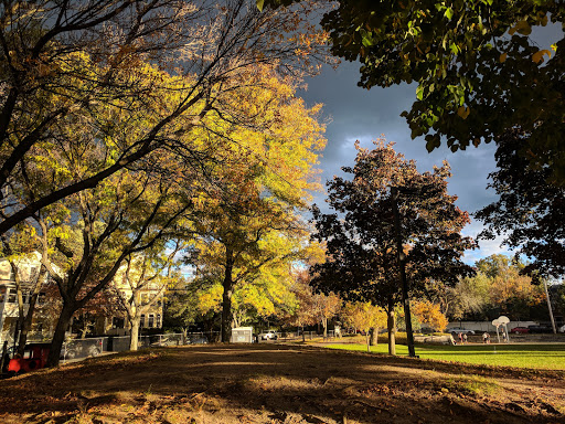 Park «Raymond Park», reviews and photos, Raymond St, Cambridge, MA 02140, USA