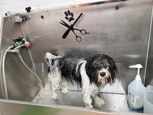 Hundesalon Zellertal unter Zellertal, 