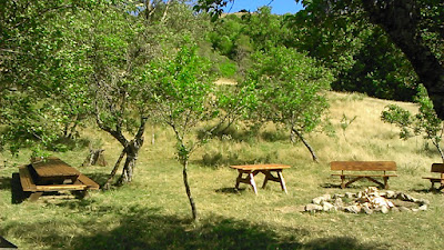 Viala Bois à Nant