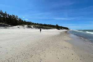 Dzika plaża w Czołpinie image