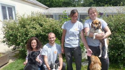 La Société Protectrice des Animaux (SPA) - Refuge de Vitré à Vitré