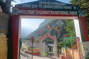 Gangotri National Park image