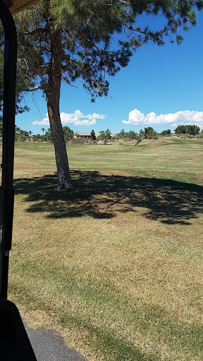 Golf Course «Desert Willow Golf Course», reviews and photos, 2020 W Horizon Ridge Pkwy, Henderson, NV 89012, USA