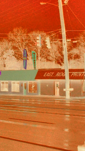 Explore sand dollar tattoo ideas, creative tattoo ideas in Chattanooga, available at Inked Expressions