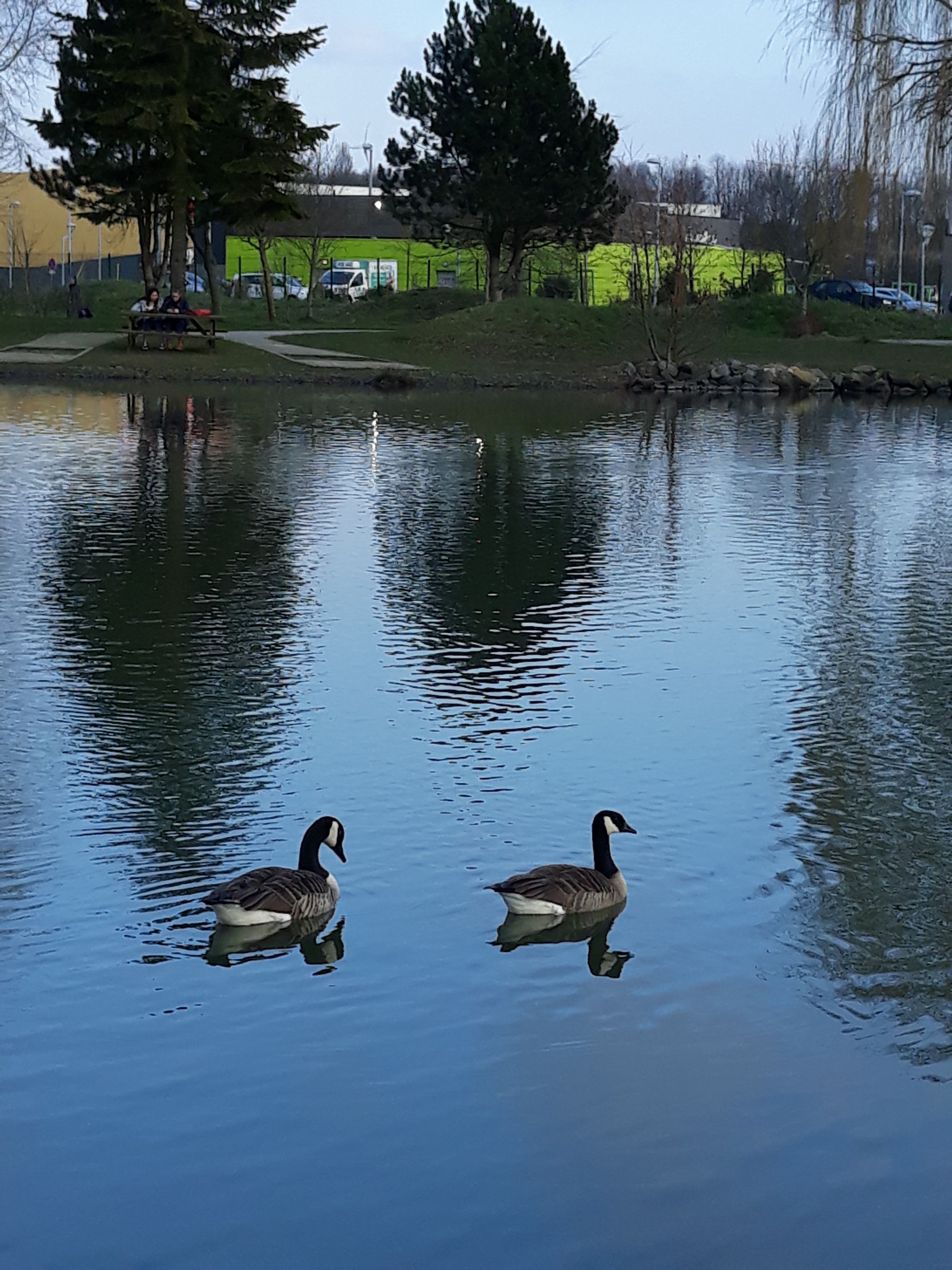 Photo n° 1 de l'avis de Trabelsi.a fait le 24/03/2018 à 23:08