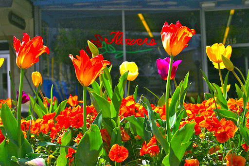 Florist «Narnia Studios», reviews and photos, 315 N Main St, Hendersonville, NC 28792, USA