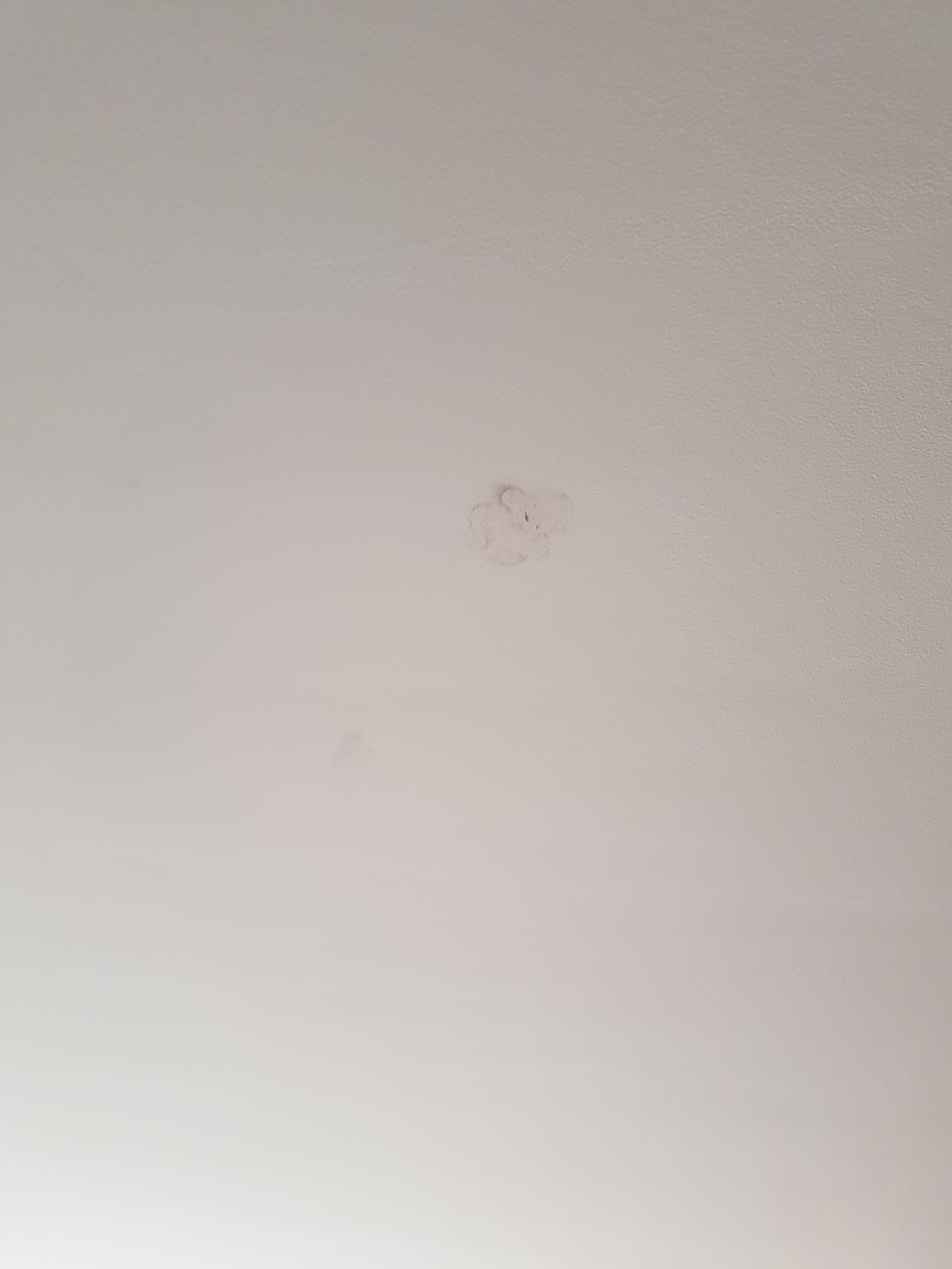 Photo n° 1 de l'avis de Mo.a fait le 31/08/2018 à 12:19