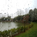 Photo n°2 de l'avis de Federico.a fait le 14/03/2018 à 10:17 sur le  Cà del lago à Piove di Sacco