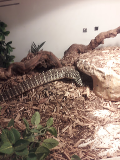 Pet Store «The Pet Zone», reviews and photos, 20 W Oak St, Pittston, PA 18640, USA