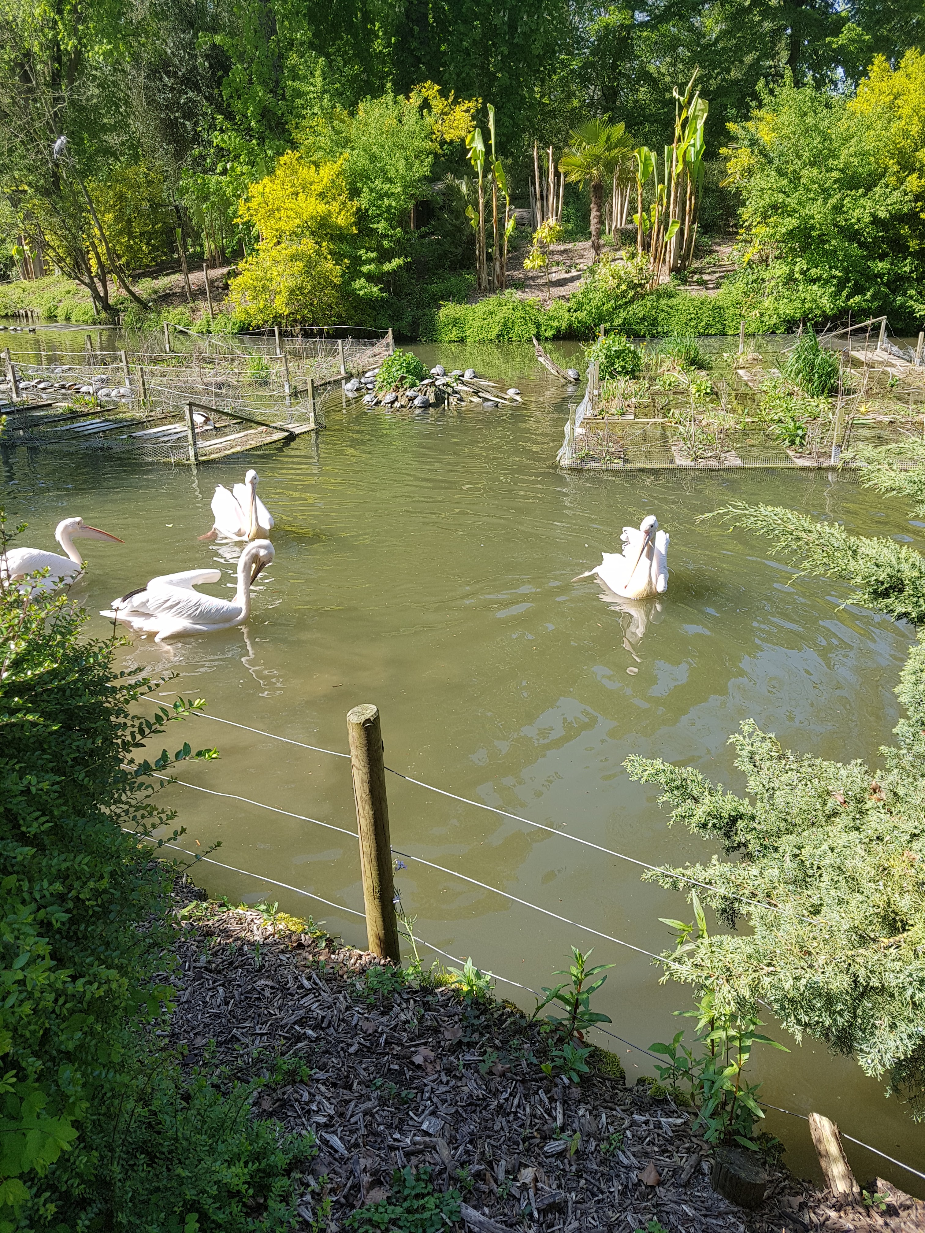 Photo n° 30 de l'avis de Celia.a fait le 30/04/2019 à 08:20