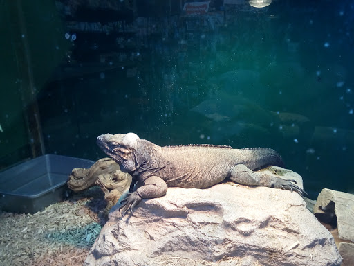 Pet Store «Pet Kingdom», reviews and photos, 4650 S Cleveland Ave, Fort Myers, FL 33907, USA