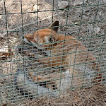 Photo n°2 de l'avis de Hans. fait le 02/10/2023 à 08:02 sur le  Parc Gallorose à Loc. Cedrino