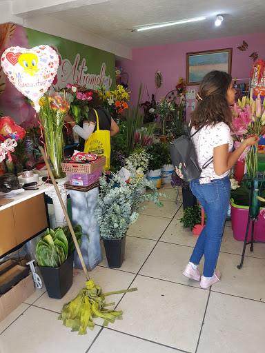 FLORERIA La Primavera