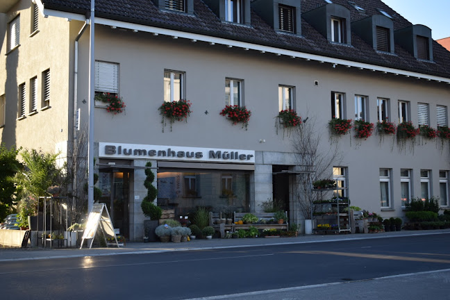 Blumenhaus Müller AG - Aarau