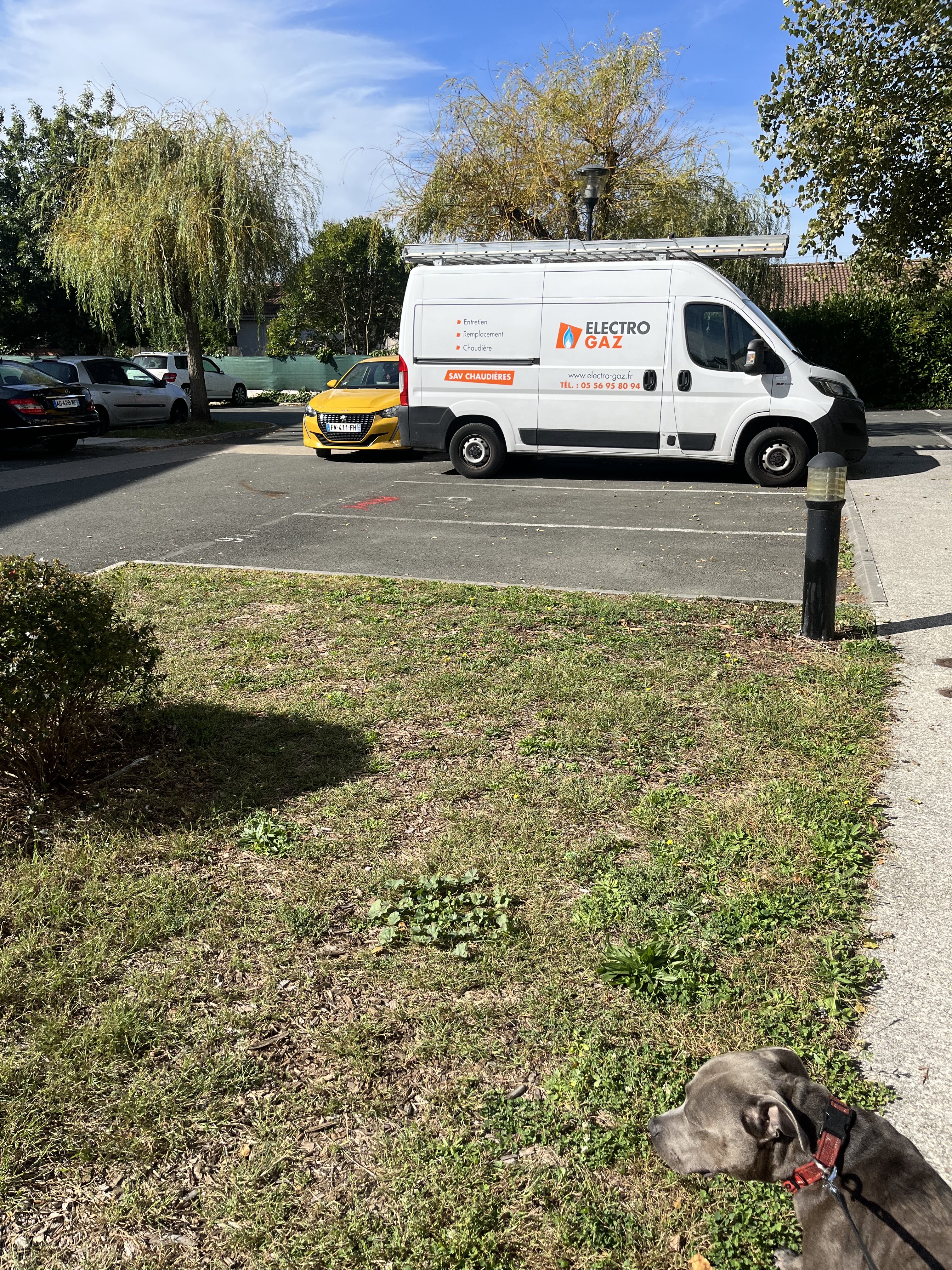 Photo n° 1 de l'avis de Léa.a fait le 04/10/2023 à 10:49