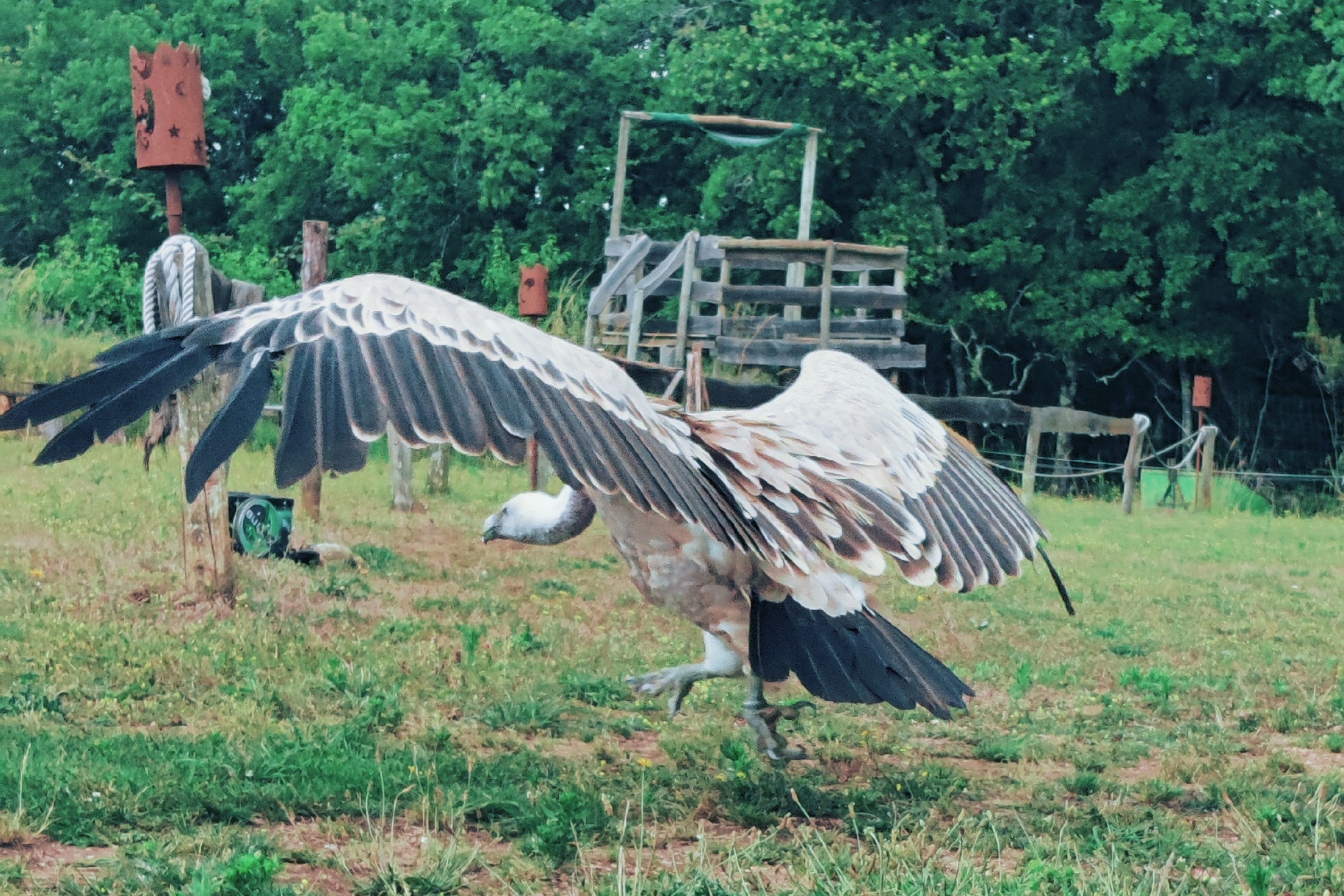 Photo n° 1 de l'avis de kass.l fait le 01/07/2023 à 18:40