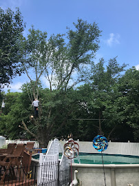 Benitez Tree and Shrub Service LLC - Photo 9 - Car repair in Waco, TX, Waco