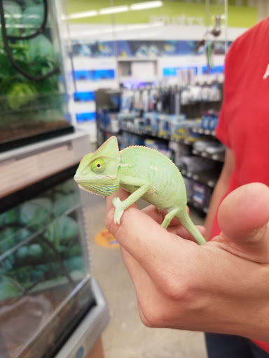 Pet Supply Store «Petco Animal Supplies», reviews and photos, 1220 E Northside Dr #130, Jackson, MS 39211, USA