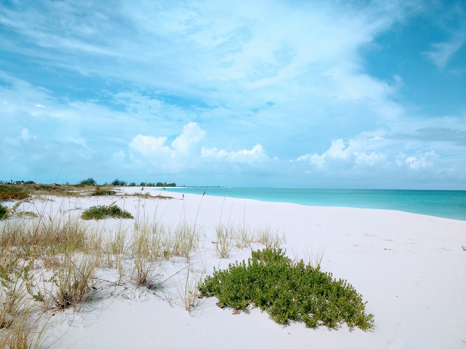 Pine Cay beach'in fotoğrafı ve yerleşim