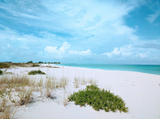 Pine Cay beach