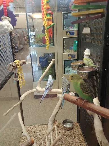 Pet Supply Store «PetSmart», reviews and photos, 2026 Lincoln Way E, Massillon, OH 44646, USA