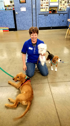 Pet Supply Store «PetSmart», reviews and photos, 250 Grossman Dr, Braintree, MA 02184, USA