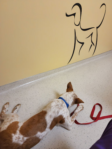 Wakarusa Veterinary Hospital