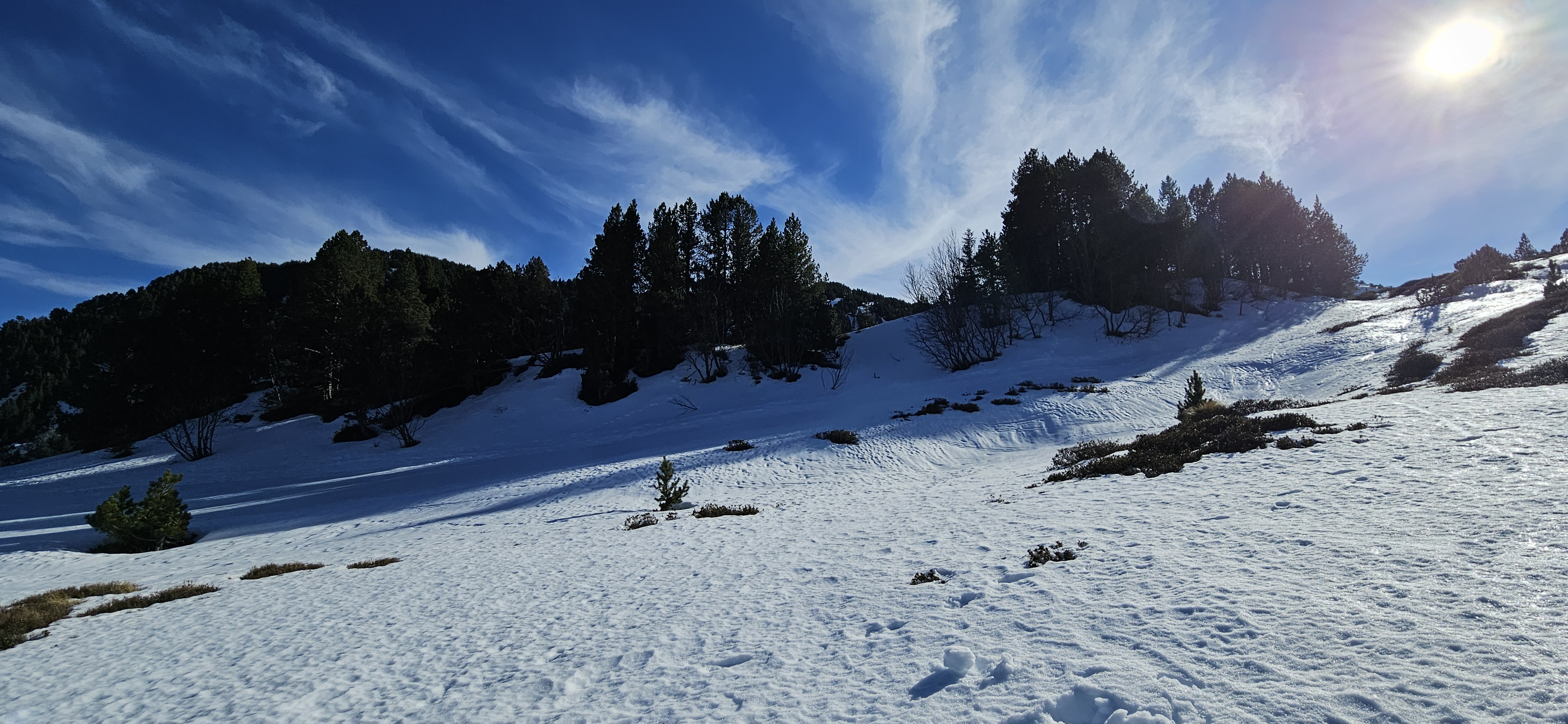 Photo n° 4 de l'avis de Théophane. fait le 09/02/2024 à 18:36