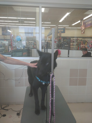 Pet Supply Store «Petco Animal Supplies», reviews and photos, 2095 N Harris Blvd, Layton, UT 84041, USA