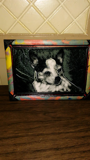 Pet Supply Store «PetSmart», reviews and photos, 198 Promenade Blvd, Flowood, MS 39232, USA