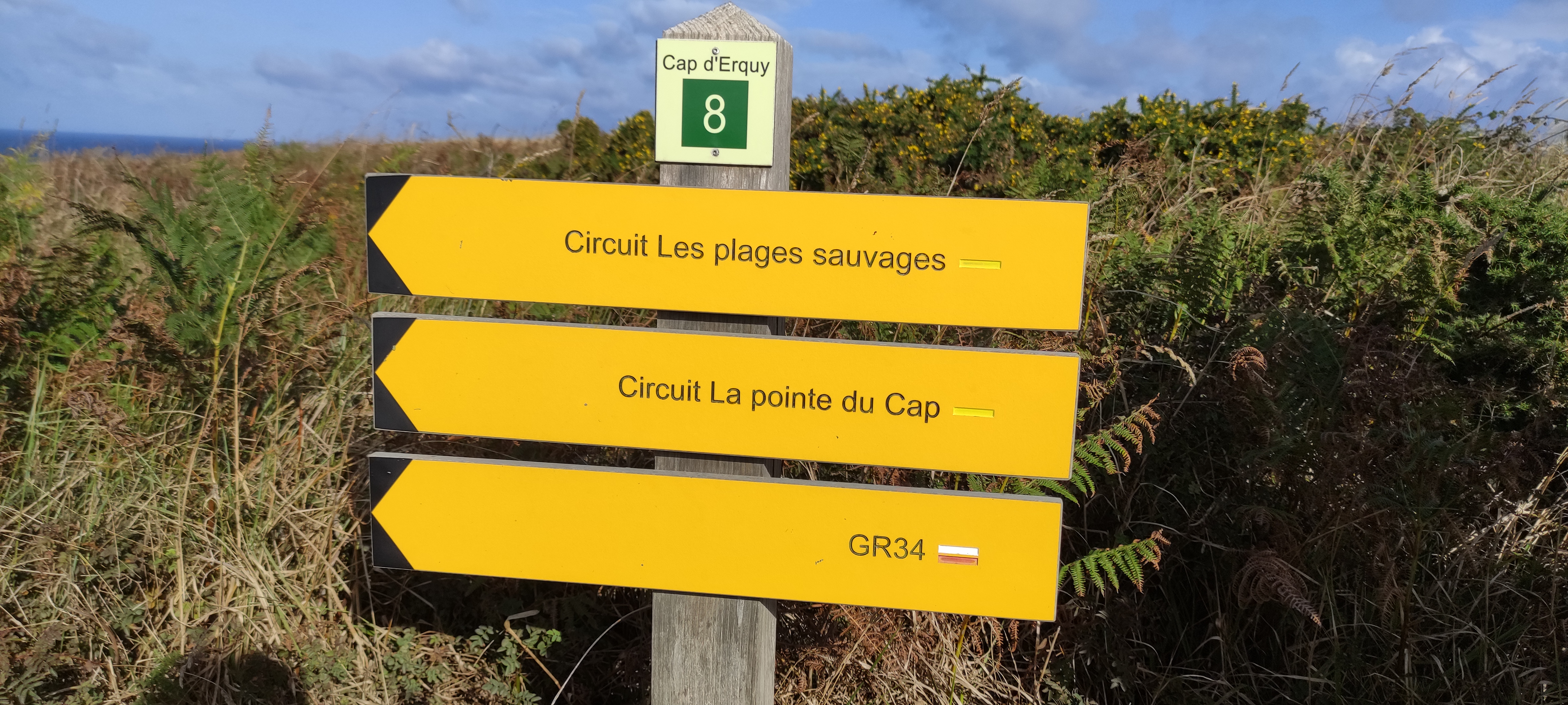Photo n° 14 de l'avis de Ky29. fait le 16/09/2022 à 17:12