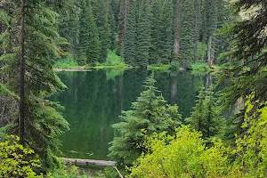 Idaho Panhandle National Forests image