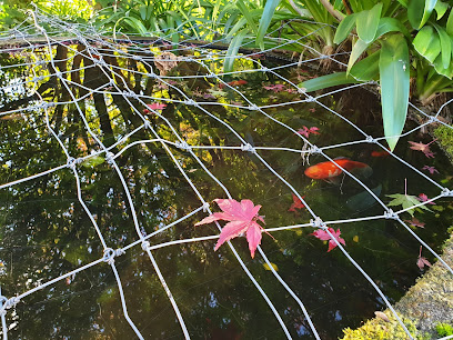 Hamilton Goldfish Pond