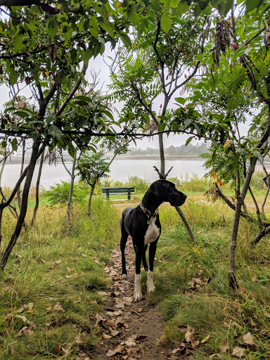Park «Dorchester Shores Reservation Victory Road Park», reviews and photos, Victory Rd, Dorchester, MA 02122, USA