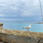 Photo n°3 de l'avis de Barbara.h fait le 02/05/2023 à 19:42 sur le  Trattoria Scoglio delle Sirene à Gallipoli
