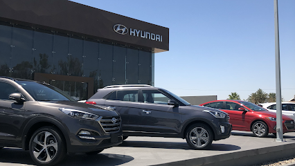 Hyundai Premier
