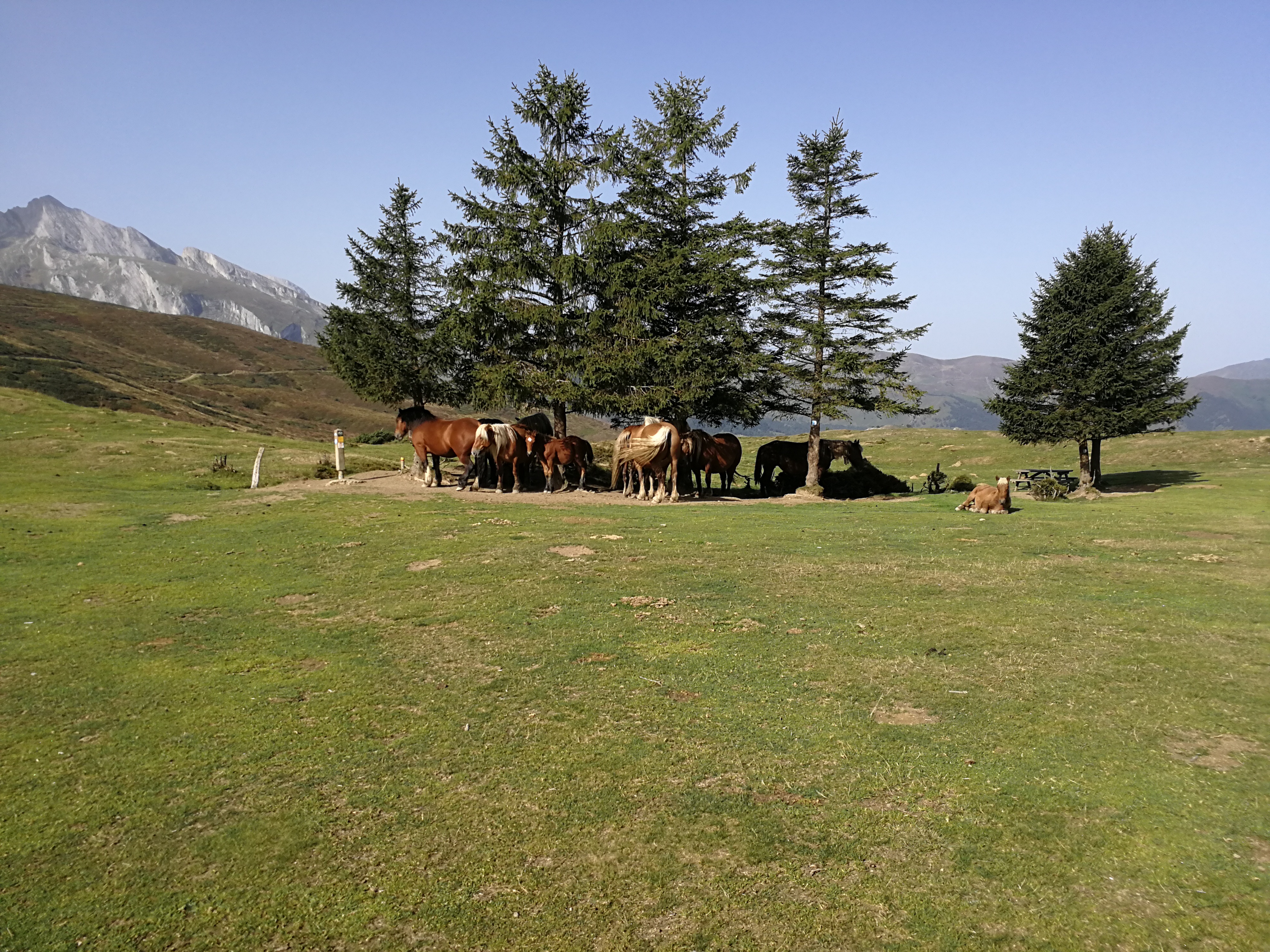 Photo n° 4 de l'avis de Michael.e fait le 25/09/2019 à 19:08