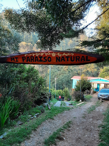 Opiniones de Cabañas y camping Mi Paraiso Natural en Mariquina - Camping