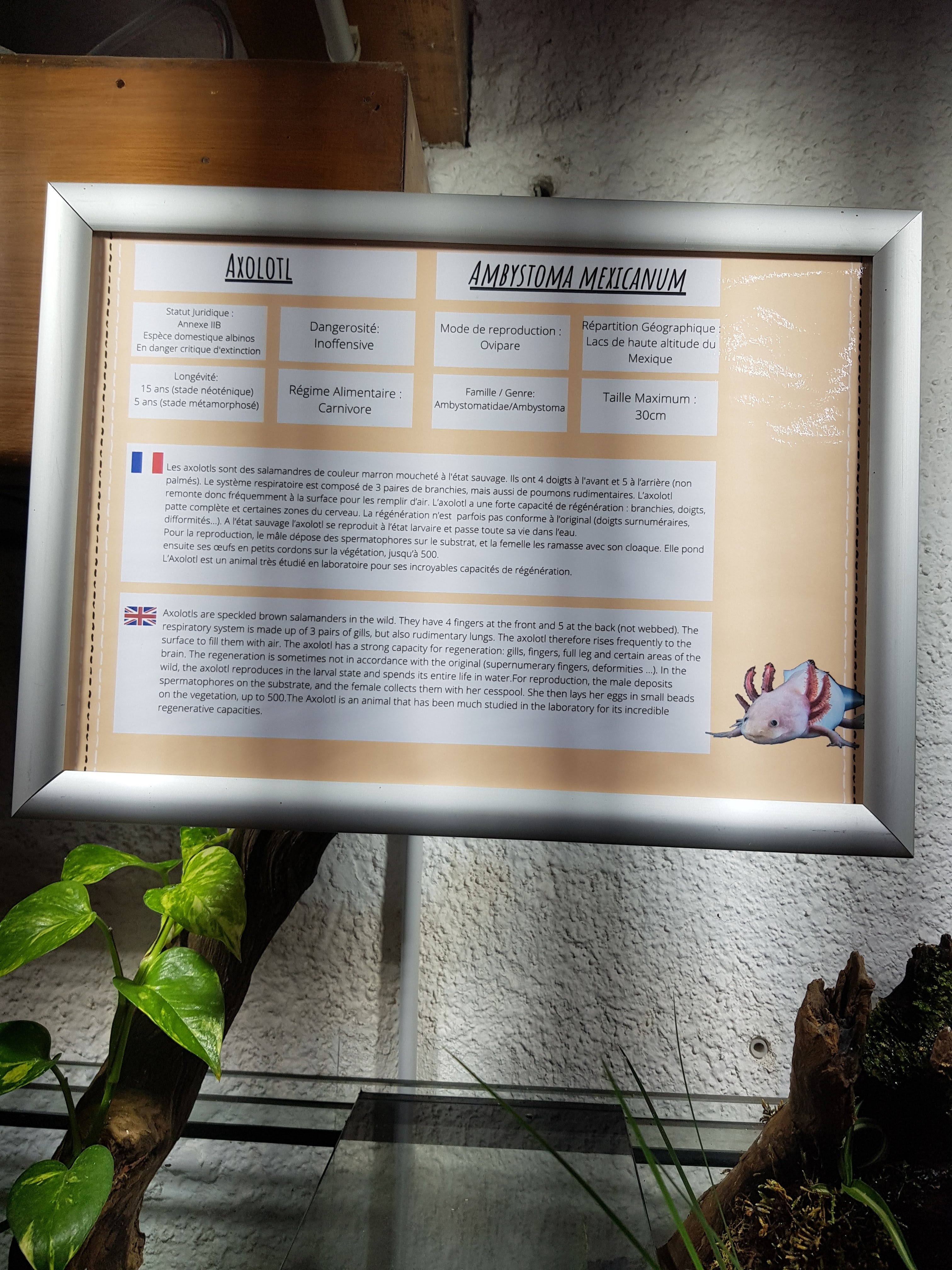 Photo n° 21 de l'avis de Lala.a fait le 24/08/2020 à 19:44