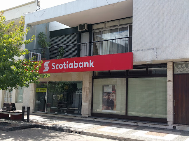 ScotiaBank