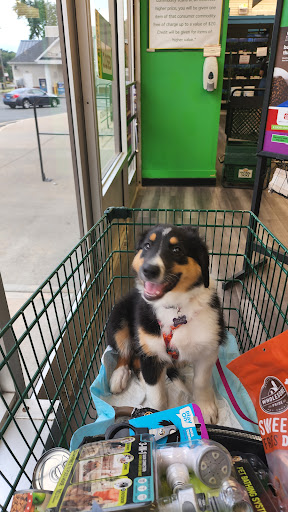 Pet Supply Store «Pet Supplies Plus», reviews and photos, 283 Middle Turnpike W, Manchester, CT 06040, USA