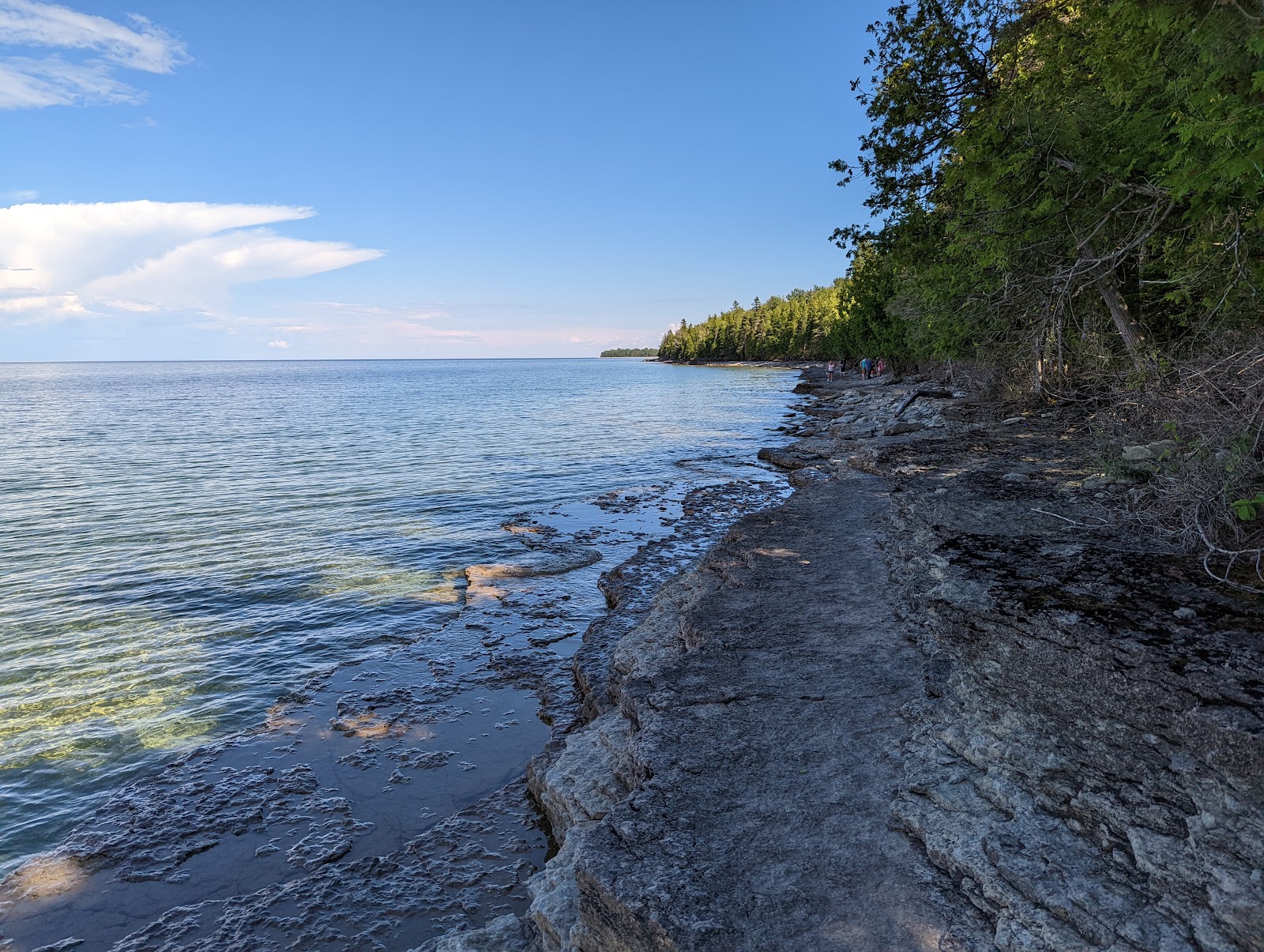 Fossil Ledges Beach的照片 带有岩石覆盖表面