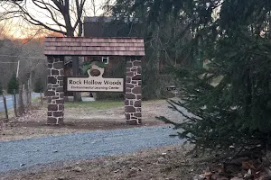 Rock Hollow Woods Environmental Learning Center image