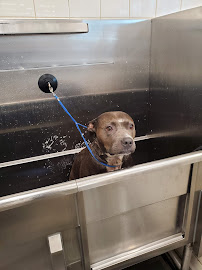 Hollywood Feed - Photo 9 - Car repair in Charlotte, NC, Charlotte