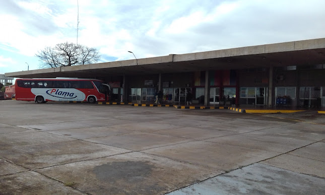 Opiniones de Terminal de Ómnibus en Río Negro - Servicio de taxis