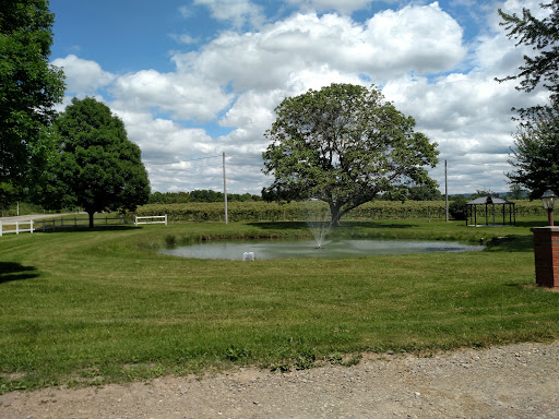 Winery «Sparkling Ponds Winery», reviews and photos, 10661 W Lake Rd, Ripley, NY 14775, USA