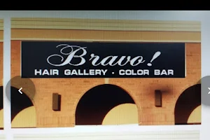 Bravo! Hair Gallery ~Color Bar image