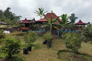 Kebun Durian Saung Joglo image