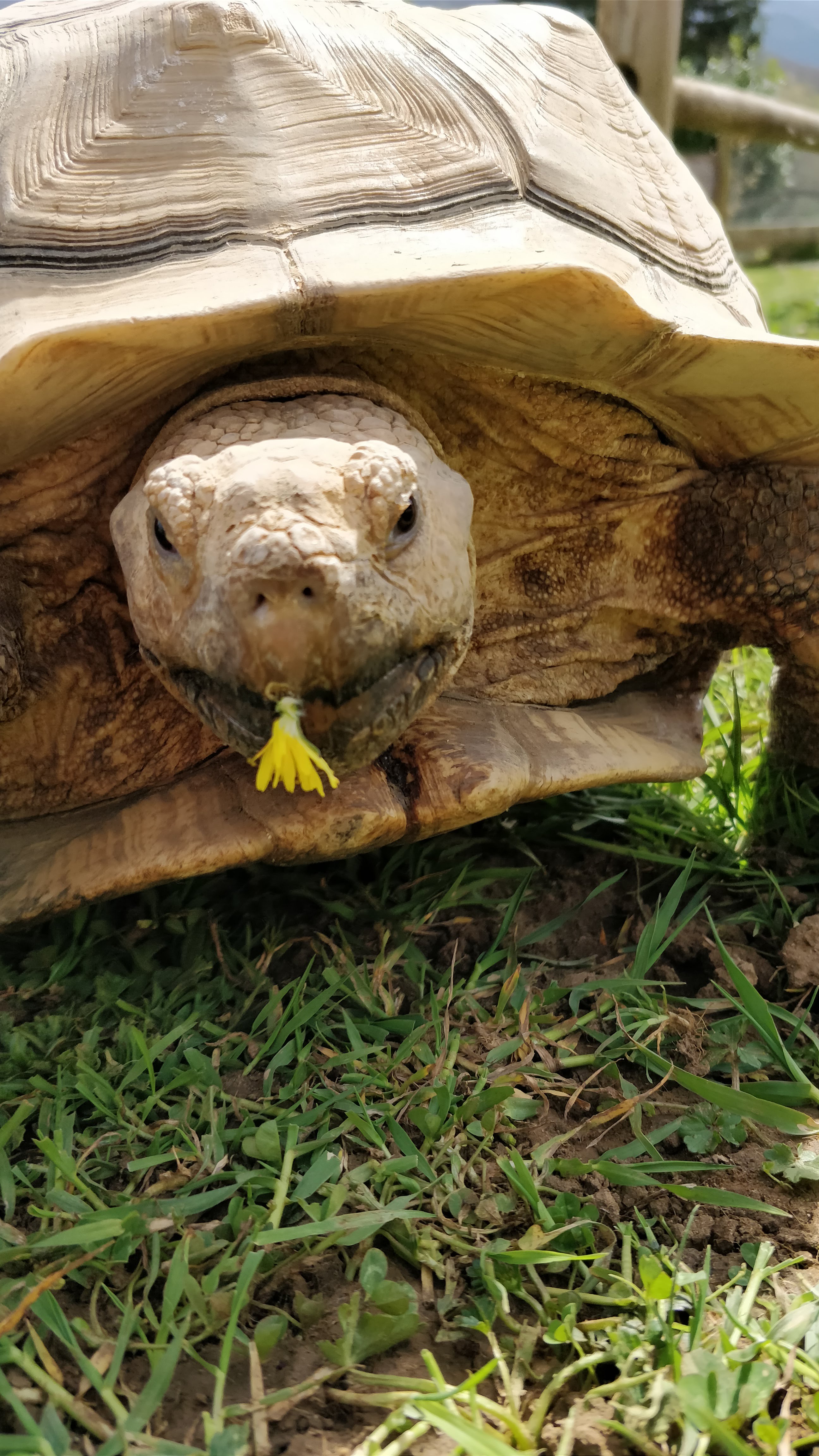 Photo n° 3 de l'avis de Dorian.e fait le 01/05/2018 à 04:41